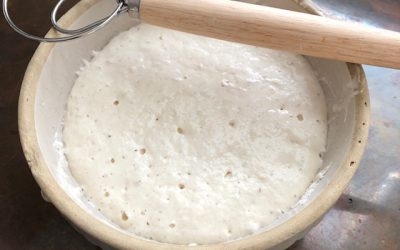 Sourdough Starter Feeding Steps