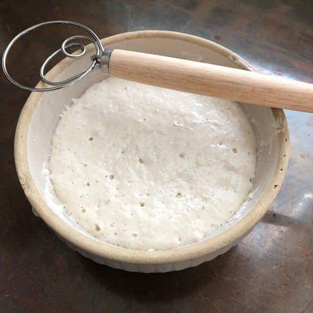 Sourdough Starter