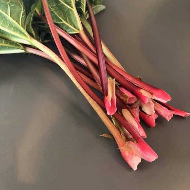 rhubarb