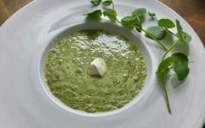 Fresh Spring Pea Soup