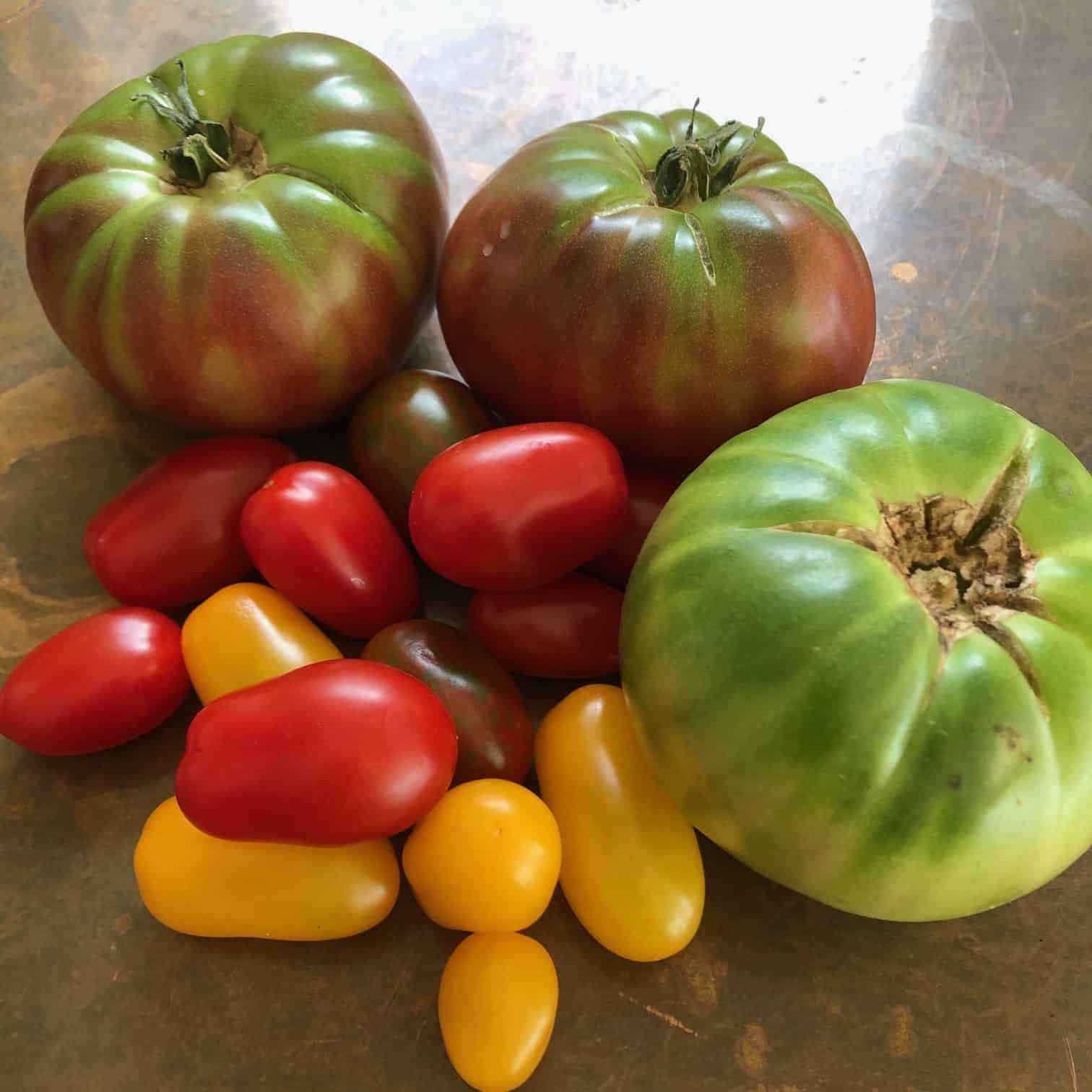 Heirloom Tomatoes