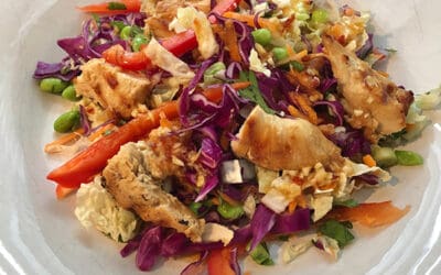 Spicy Edamame Chicken Salad