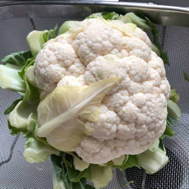 head of cauliflower