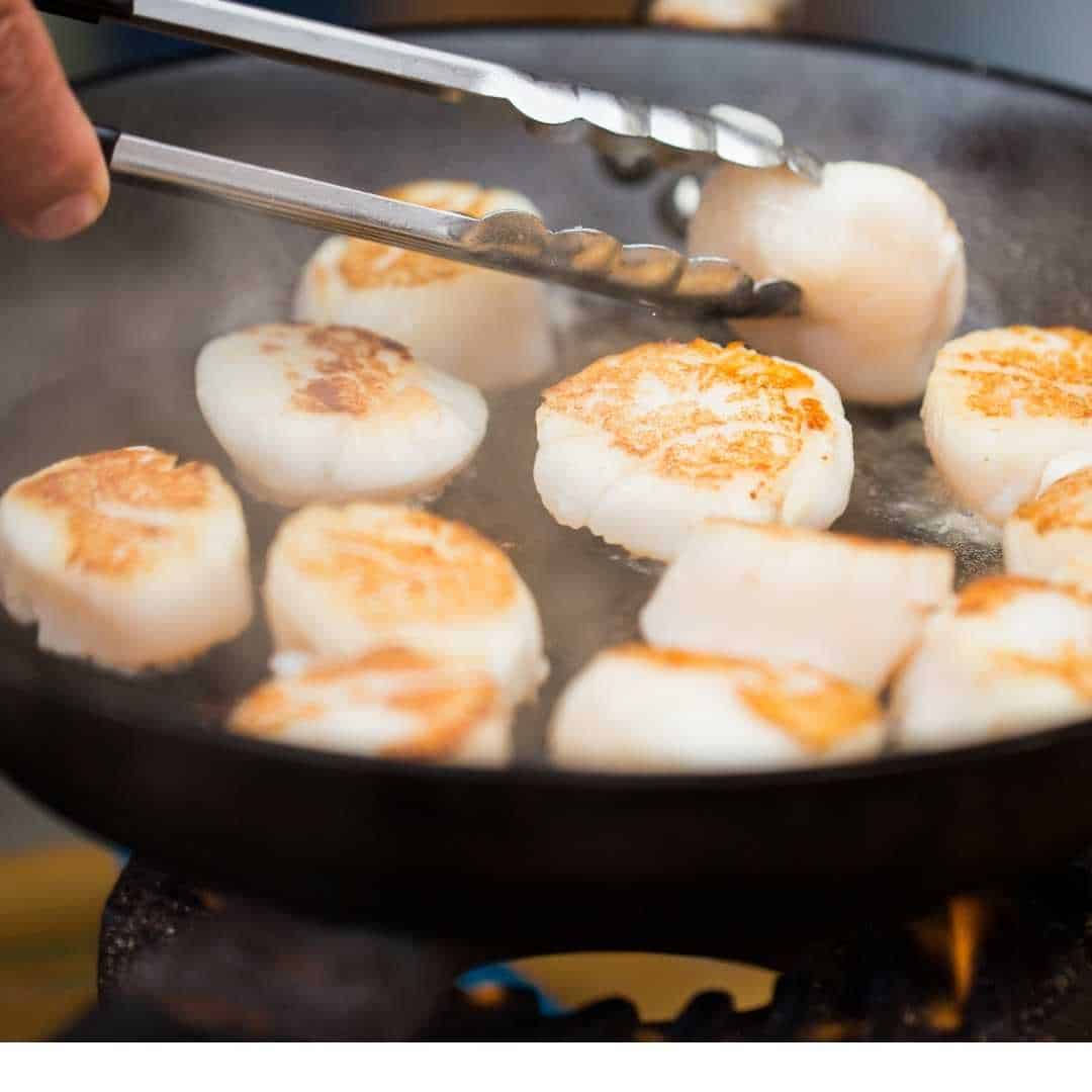 scallops