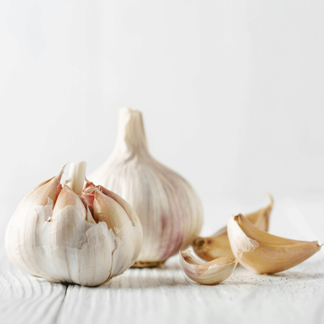 garlic