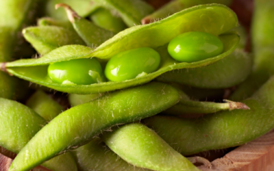 Brown Rice Bowl with Edamame