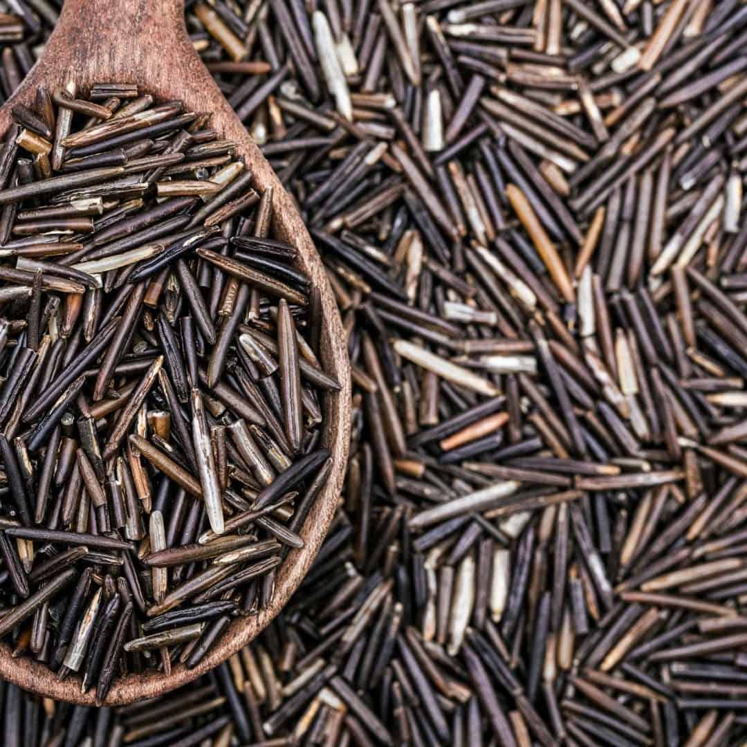 wild rice