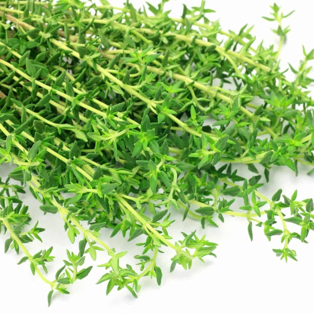 Thyme