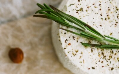 Vegan Cashew Slicing Cheese