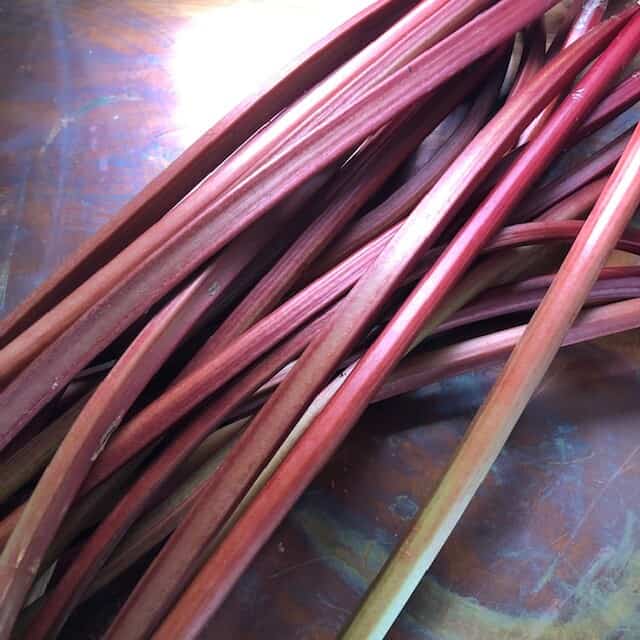 rhubarb