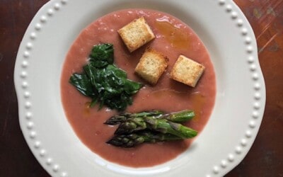 Agrodolce Rhubarb Soup