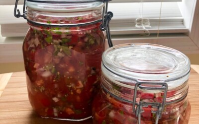 Tangy Fermented Red Salsa and Cucumber (Pickles)