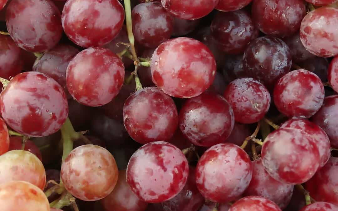 Roasted Rosemary Grapes