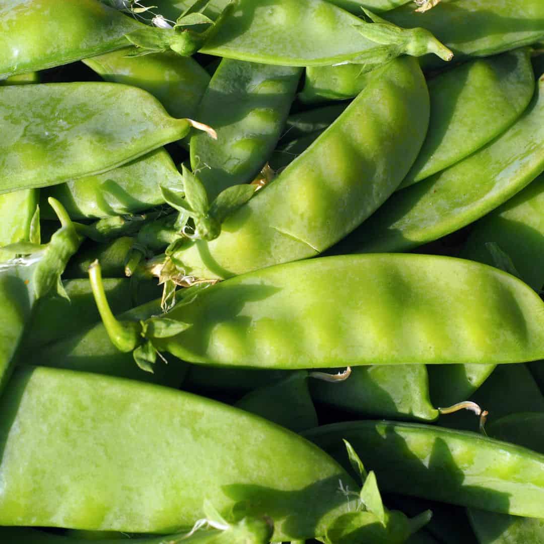 Snow Peas 