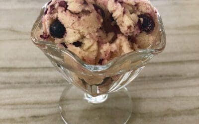 Cinnamon Blueberry IceDream