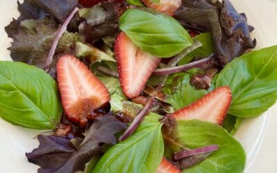 Strawberry Basil Salad with Strawberry Balsamic Vinaigrette