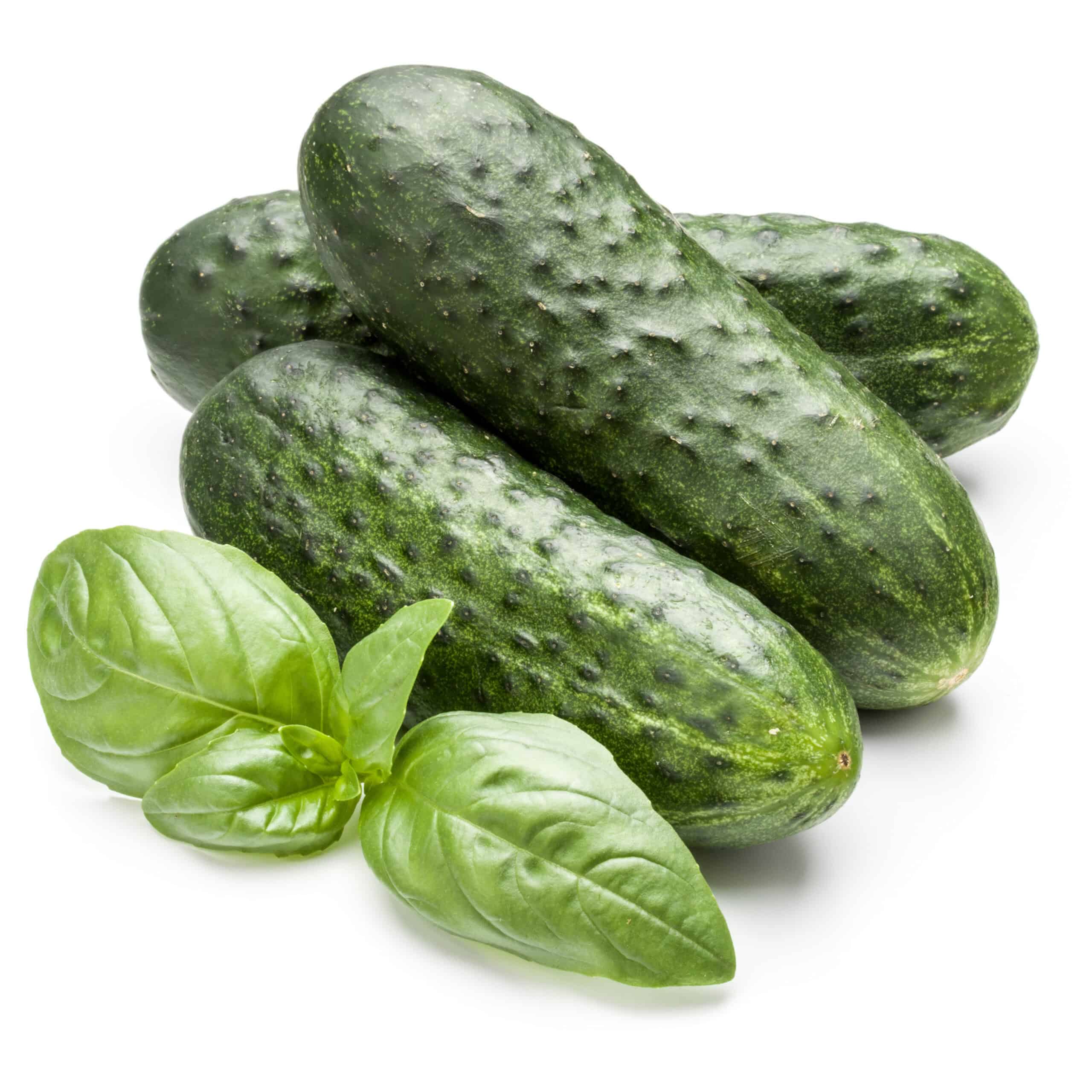 Fresh cucumber and basil leaves isolated on a clean white background, showing vibrant green color and crisp texture