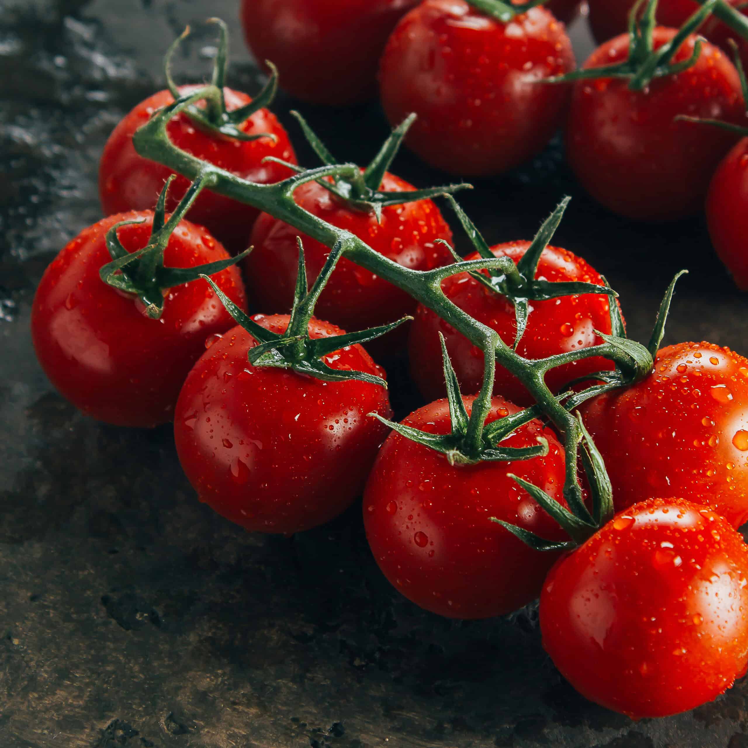 Close-up of fresh cherry tomatoes resting on a dark brown background, highlighting their glossy red skins and vibrant color